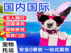 长春机场快递国际宠物托运 【国